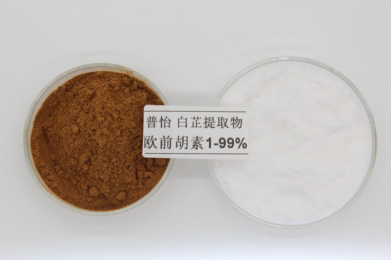 白芷提取物